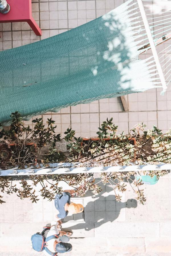 Hostal Urban Garden