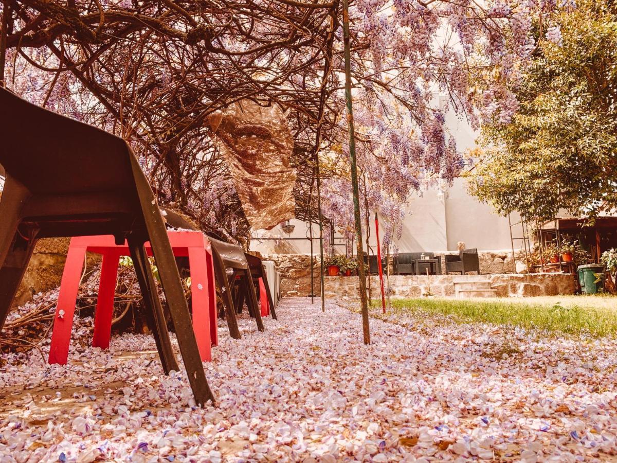 Hostal Urban Garden *