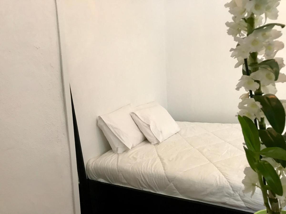 Urban Garden Hostal